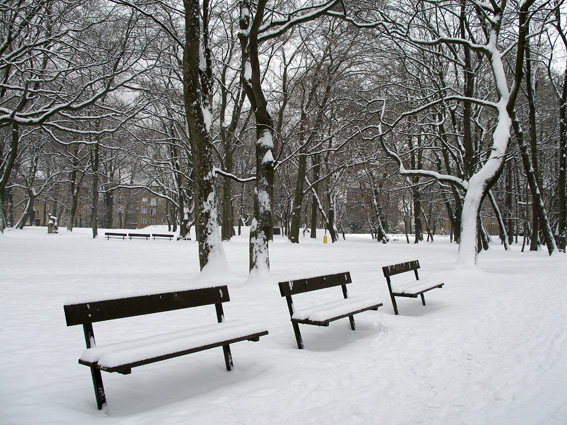 Zámecký park.jpg